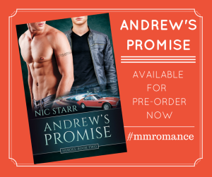 Andrew's Promise - Preorder