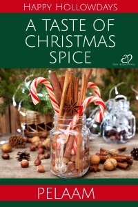 a-taste-of-christmas-spice